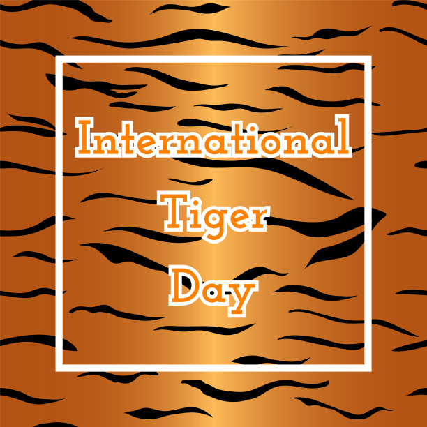 国际老虎一天图片下载