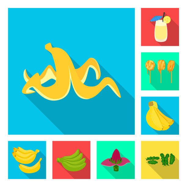 设计自然和素食标志集图片下载