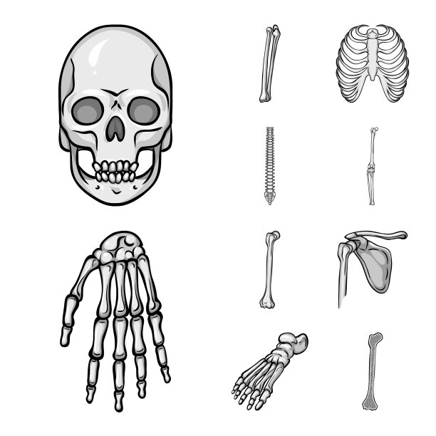 生物和医学符号集设计图片下载