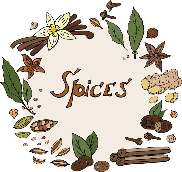 手drwan香料花环孤立在白色图片下载