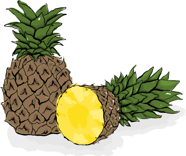 大型奇异的菠萝静物从水果手图片下载