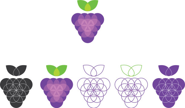 黑葡萄图片下载