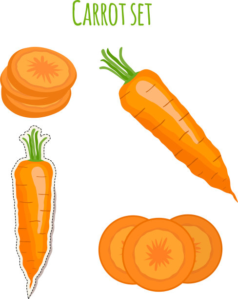 卡通扁式胡萝卜套装图片下载