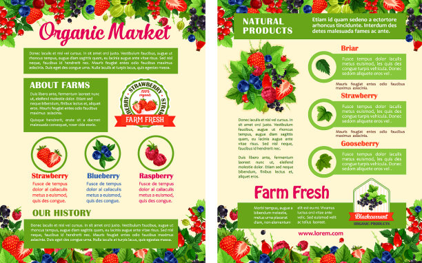 有机水果和浆果市场海报图片下载