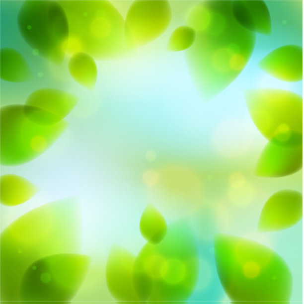 嫩绿的树叶模糊了夏天还是春天图片下载