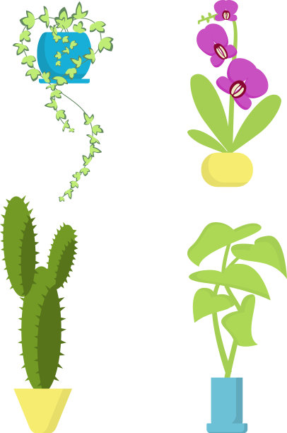 房子种植盆栽图片下载