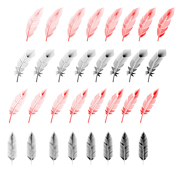 收藏羽毛画雕刻墨线图片下载