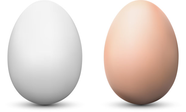 鸡蛋，白色和棕色的模型孤立图片下载