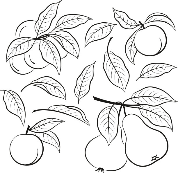 一组水果象形图图片下载