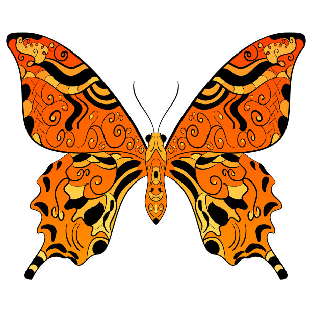 黑脉金斑蝶呈桔黄色和黑色图片下载