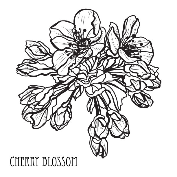 手绘花卉装饰图片下载