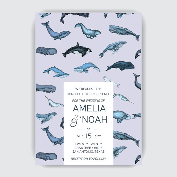 婚礼贺卡与鲸鱼色彩缤纷图片下载