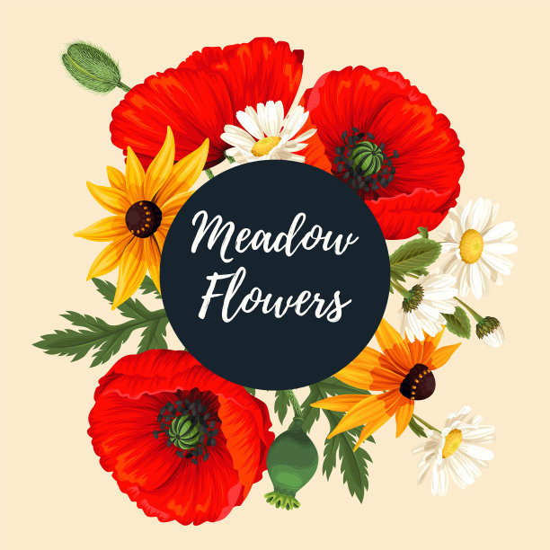 带有草甸花朵的老式卡片图片下载