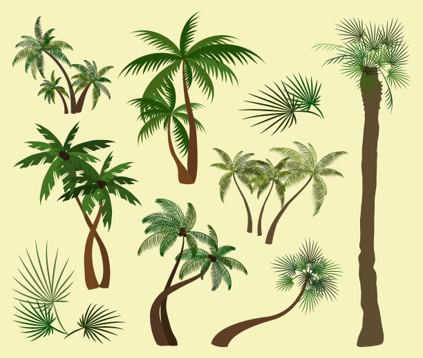 手掌树集合图片下载