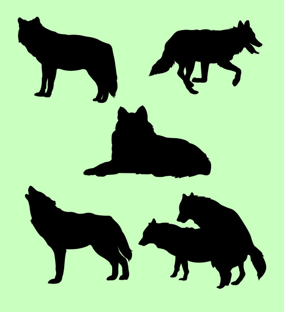 野狼的剪影图片下载