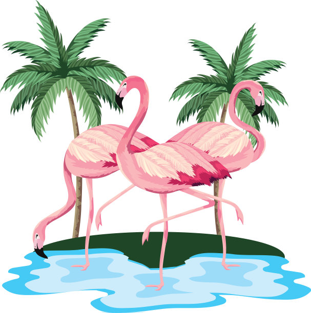 热带火烈鸟卡通图片下载