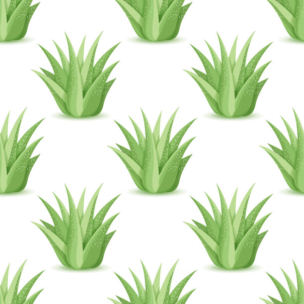 龙舌兰-无缝图案图片下载