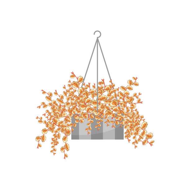 盆栽房子植物现实的图标为室内图片下载