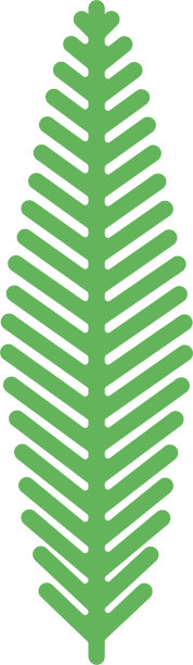 叶片平图片下载