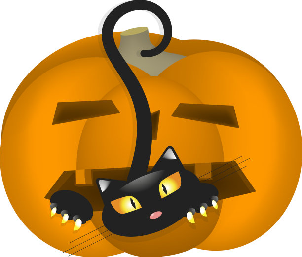 南瓜害怕猫图片下载