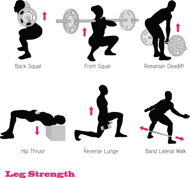 锻炼身体肌肉轮廓图片下载