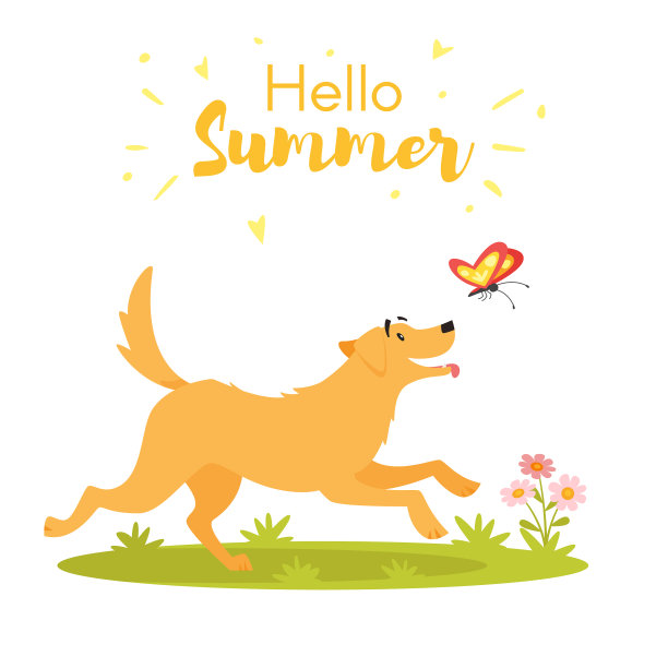 狗与蝴蝶图片下载