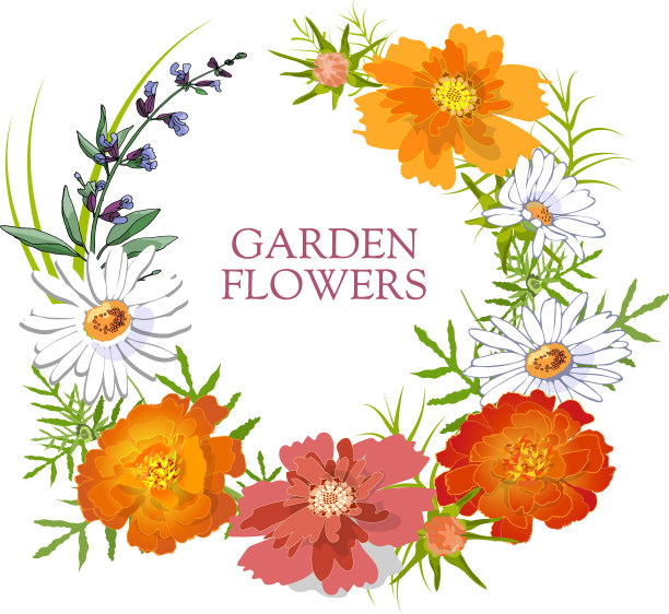 花园的花图片下载