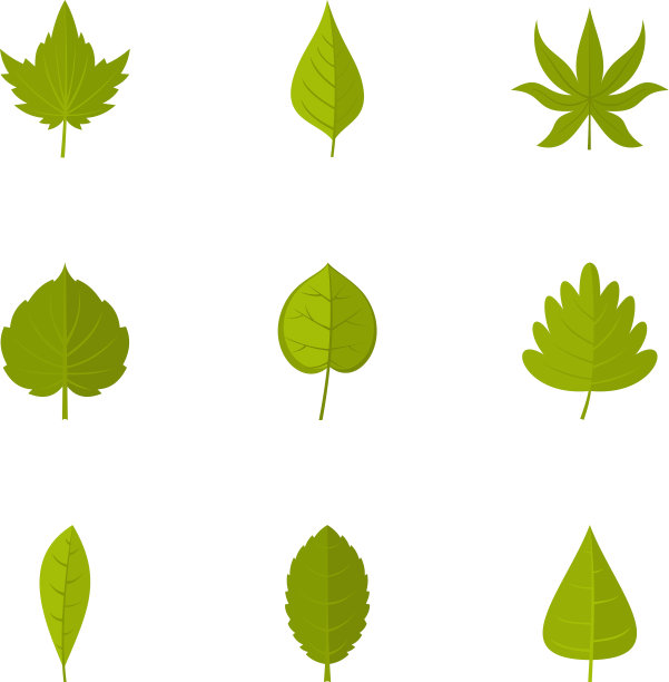 夏季树叶图标设置扁平风格图片下载