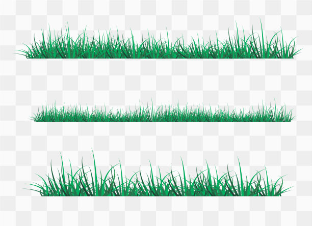 绿草上一片透明图片下载