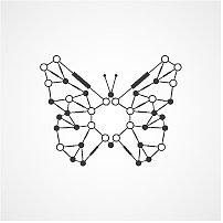 蝴蝶形态的分子结构图片下载