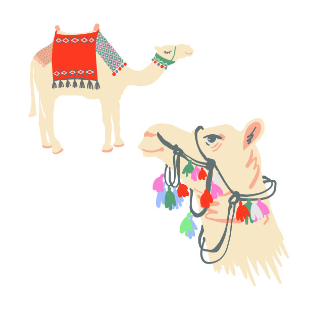 埃及骆驼，装饰有鲜艳的地毯和图片下载