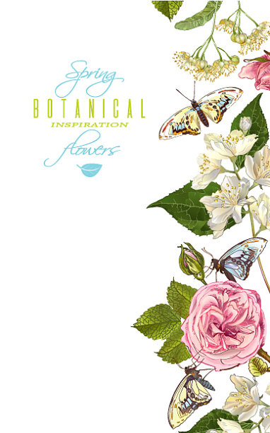 花蝴蝶的横幅图片下载