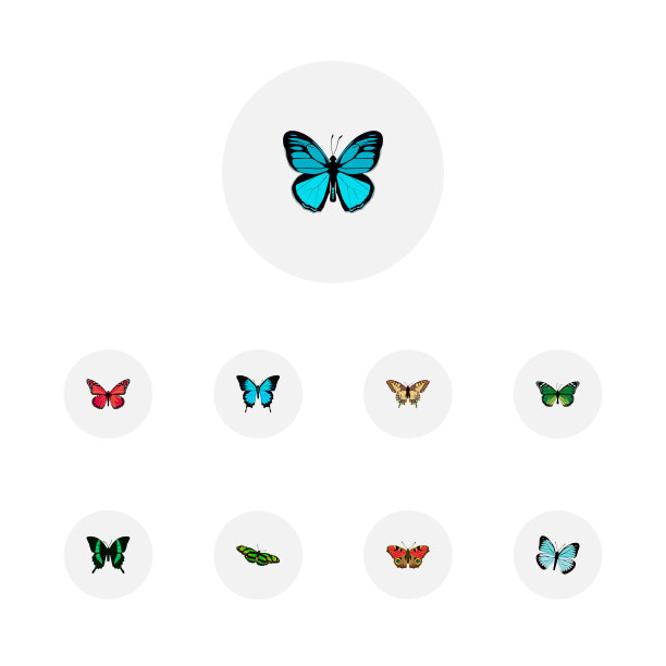 逼真的天蓝色孔雀美丽的飞鸟和翅膀图片下载