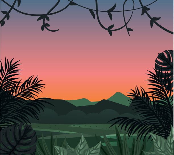 热带景观与热带树叶图片下载