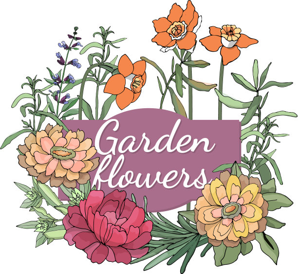 花园的花图片下载