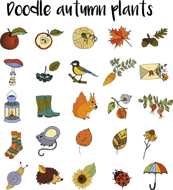 大套手绘独特的秋季图标图片下载