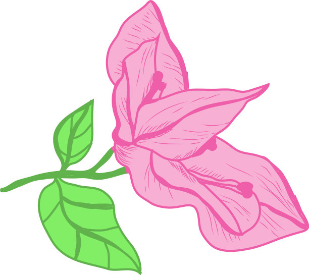 手绘花卉装饰图片下载