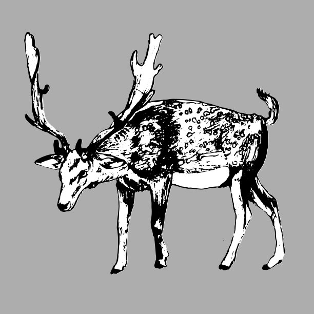 鹿手画墨水孤立图片下载