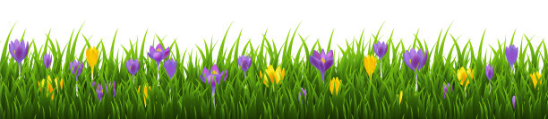 花边草边图片下载