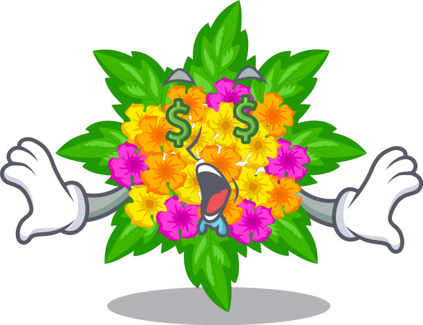 钱眼马缨丹花孤立与图片下载