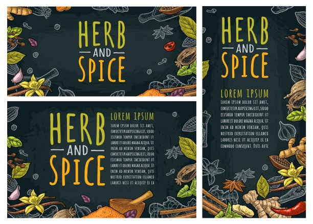 草药和香料手写字母集图片下载