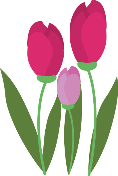 精致的花朵图标形象图片下载