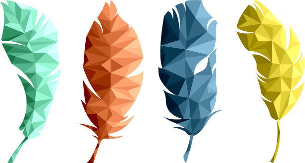 一组孤立的羽毛在低多边形图形图片下载