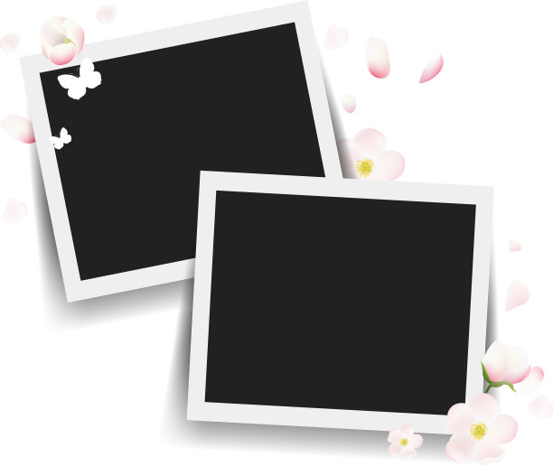 照片与花白色背景图片下载