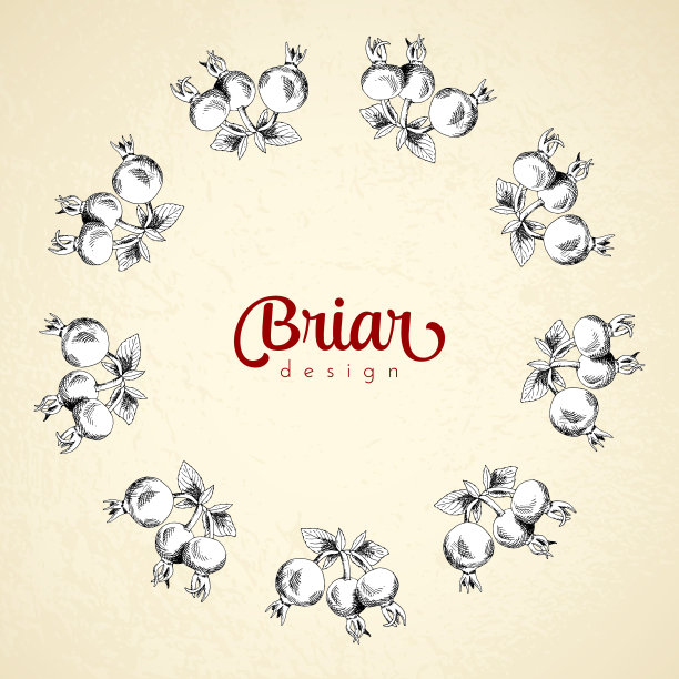 古董圈框架石楠素描模板图片下载