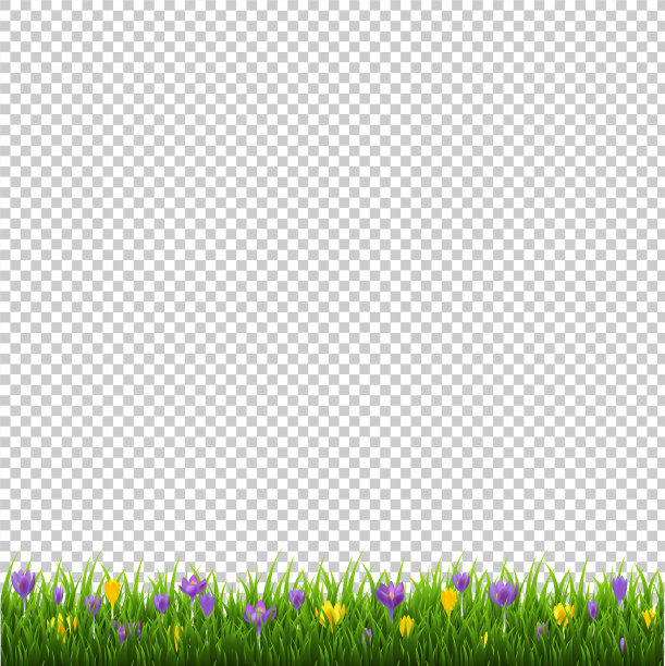 花边界草透明的背景图片下载