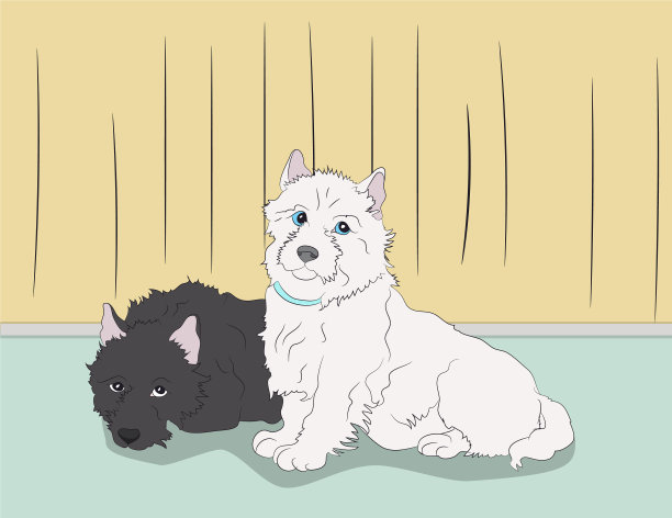 躺在房间里的狗图片下载