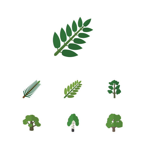 平面图标自然设置金合欢叶木材树图片下载