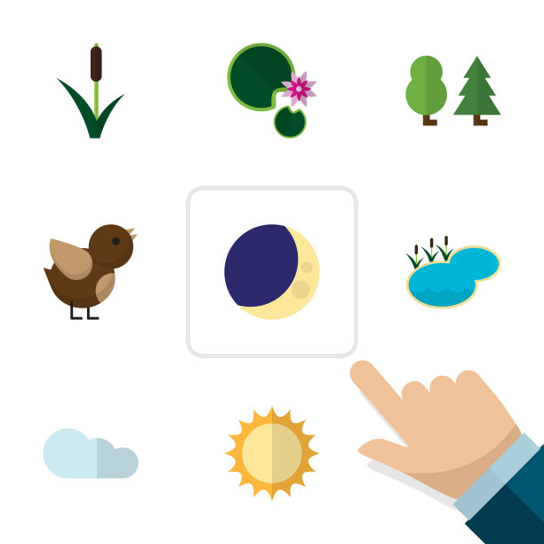 平面图标自然设置了半月形塘鸟和图片下载