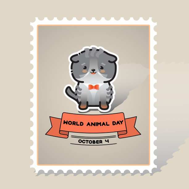 世界动物日可爱的动物猫图片下载